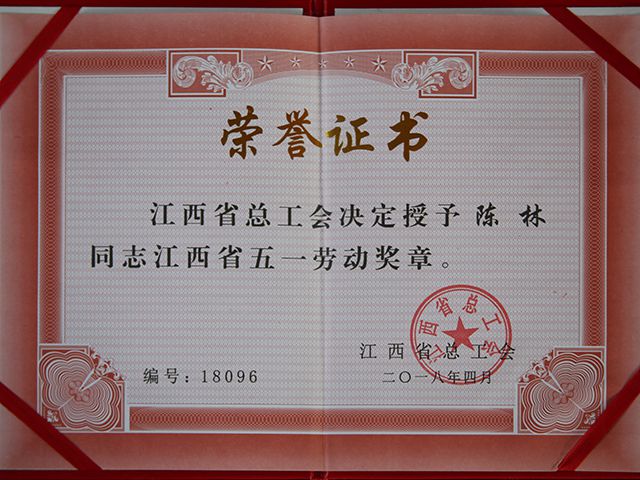 五一劳动奖章201804