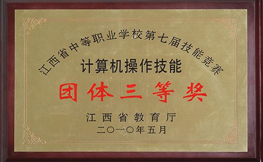 2010年计算机操作技能团体三等奖
